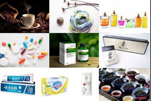 中药成药的植物化学 实验室里的孤寂与成就