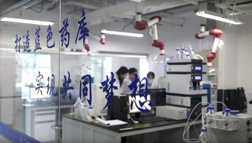 深瞳丨蓝色药库加速开发，中药成药引领海洋创新药物发展